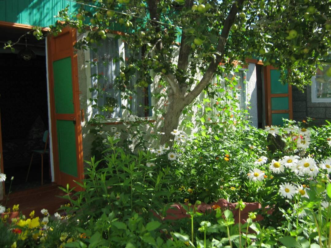 Olga Guest House Cholpon-Ata Exterior foto