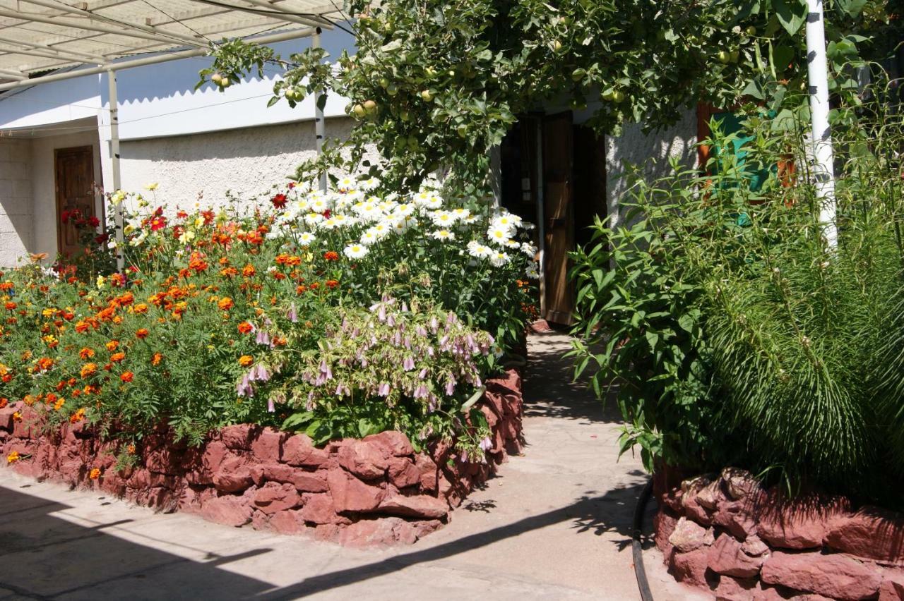 Olga Guest House Cholpon-Ata Exterior foto